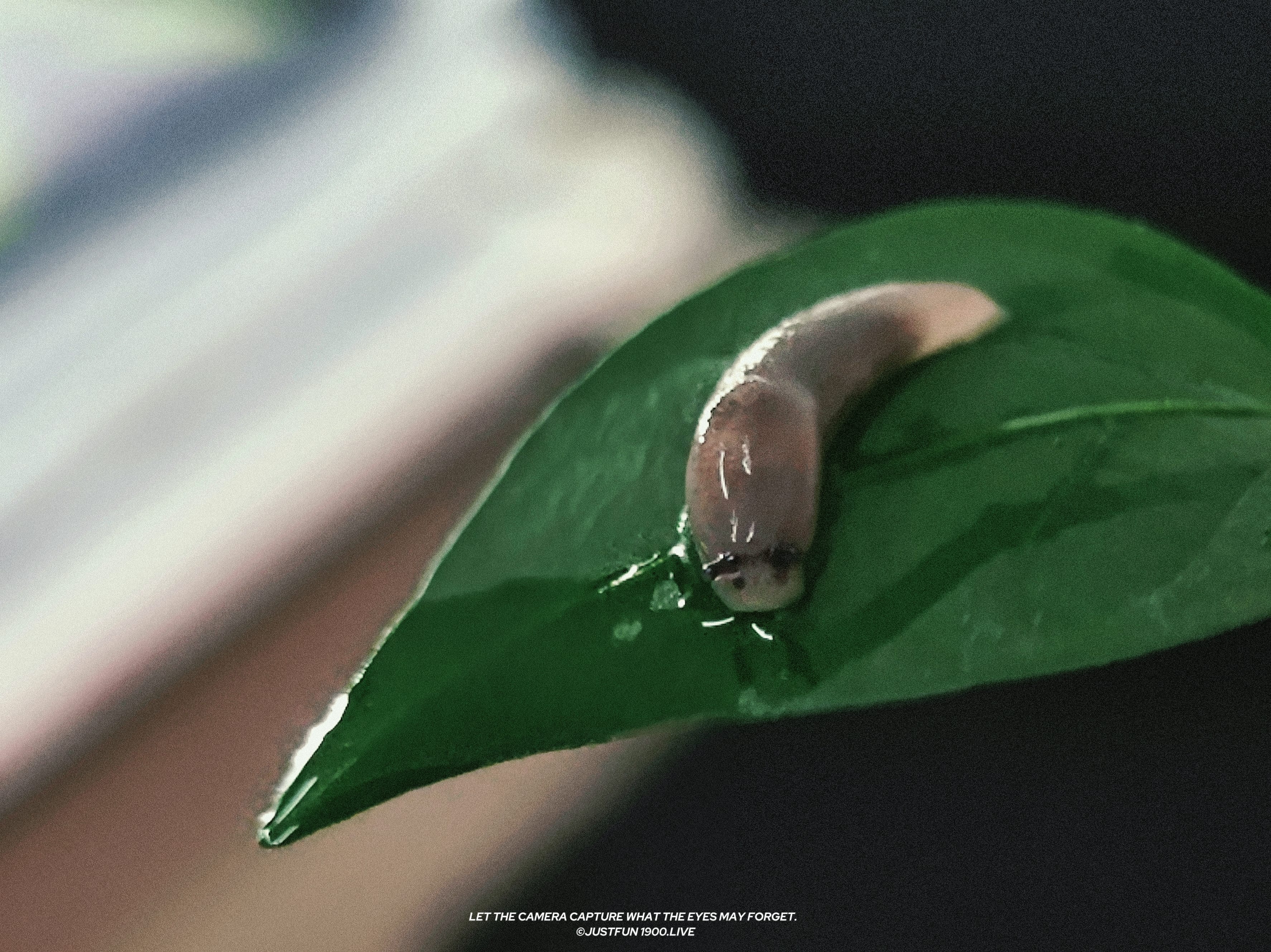 99-Rsources/Assets/retouch_2024063014233909.jpg